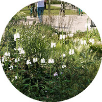 ©Empreinte paysage, François Marcuz perspective