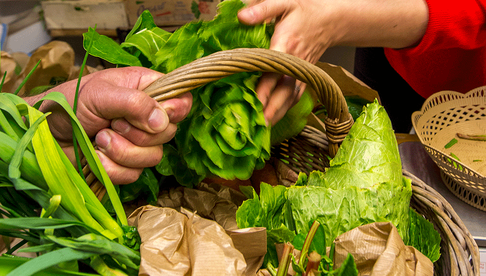 [Appel à projet Terre d’avenir] Découvrez les 25 projets lauréats