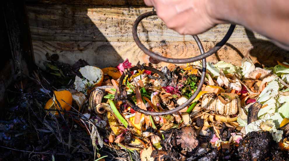 Semaine Européenne de Réduction des Déchets : Triez vos biodéchets sur le territoire ! 