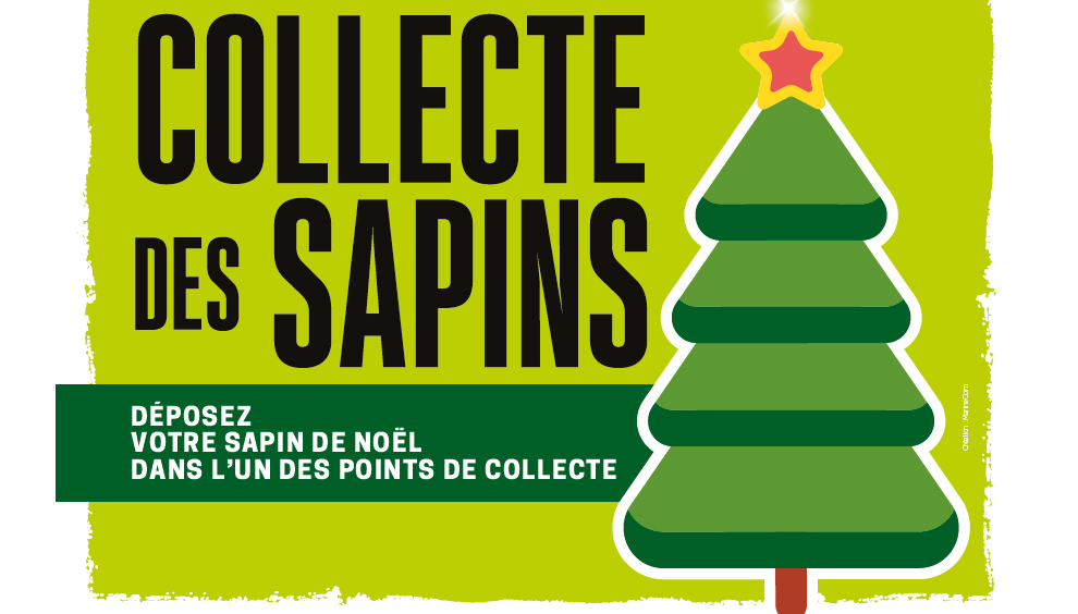 Après les fêtes, recyclez votre sapin !